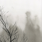 Brume 2
