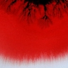 Oeil