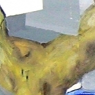 /contents/medias/Expositions/2005/Branches_big_squarethumb.jpg