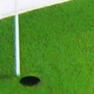 Green 1